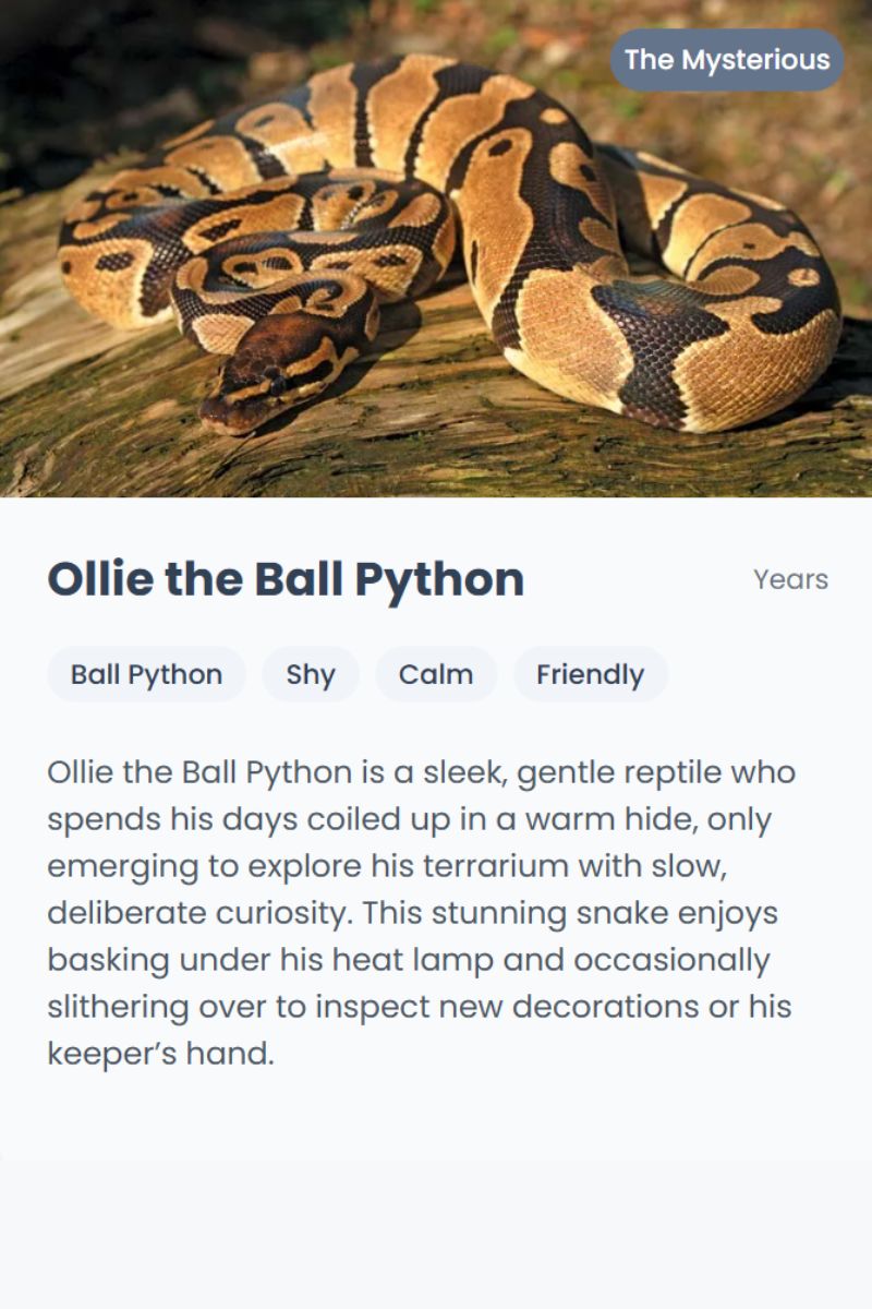 The Mysterious template example